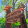 Pokemon Snap Nintendo Switch - immagine 8